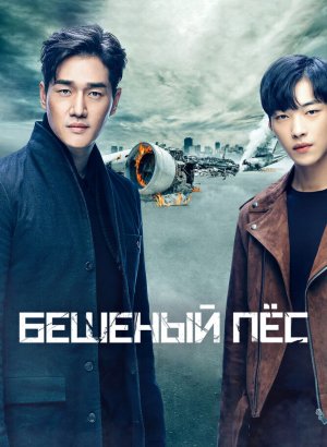 Дорама Бешеный пёс